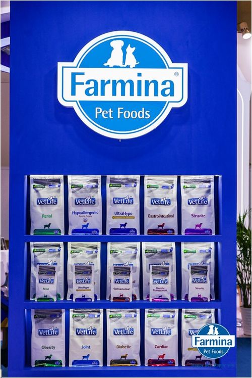 衡水新聞網(wǎng)