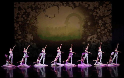 舞動(dòng)經(jīng)典 以舞今信息為媒，重賞歌劇名篇新境