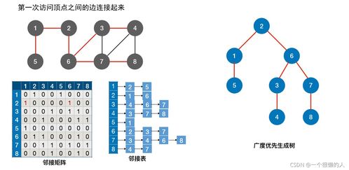 圖的遍歷算法 深度優(yōu)先搜索與廣度優(yōu)先搜索及其存儲(chǔ)支持服務(wù)詳解