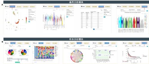 癌癥單細(xì)胞表達(dá)圖譜數(shù)據(jù)庫CancerSCEM的發(fā)布與數(shù)據(jù)處理流程解析